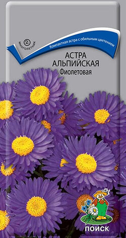 Семена астра альпийская Фиолетовая ПОИСК 0,04 г
